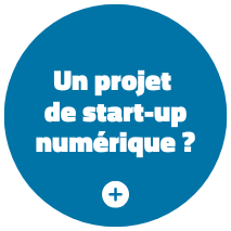 Startup numerique